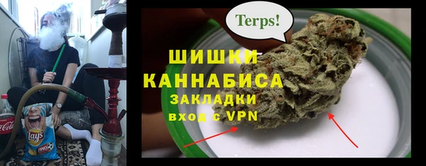 стафф Богородск