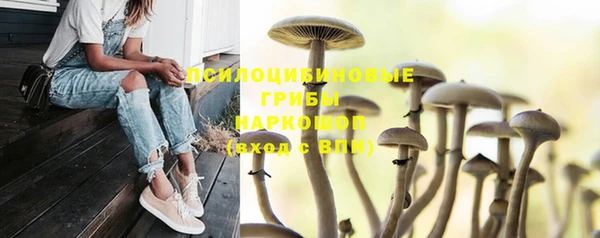 прущая мука Богданович