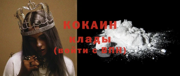 ГАЛЛЮЦИНОГЕННЫЕ ГРИБЫ Беломорск