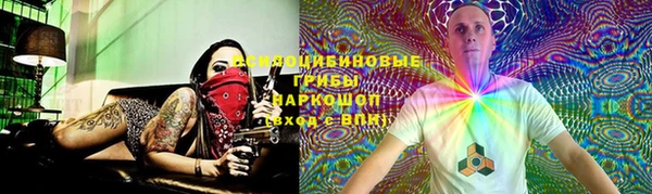 mdpv Богородицк