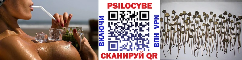 Галлюциногенные грибы GOLDEN TEACHER  Богородицк 